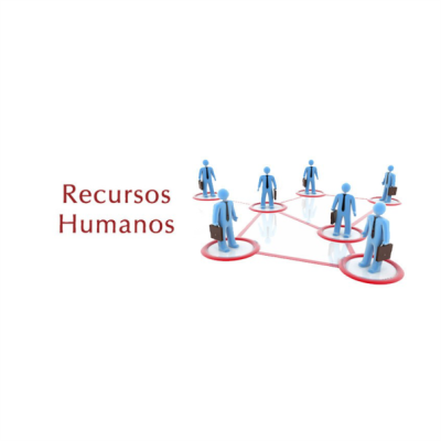 A importância da Gestão de Recursos Humanos